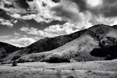 squam-creative-teele-sawpit-gully-october-black-white-2