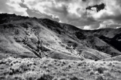 squam-creative-teele-sawpit-gully-october-black-white-5