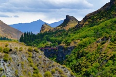 squam-creative-teele-kawarau-judge-jury