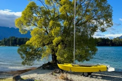 squam-creative-teele-lake-wakatipu-yellow-boat