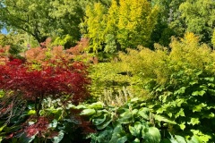 squam-creative-teele-queenstown-gardens-february