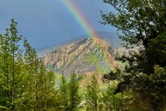 squam-creative-teele-rainbow-tobins-track