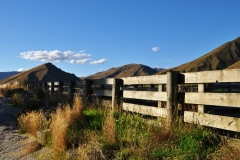 squam-creative-teele-sheep-yard-race-crown-terrace