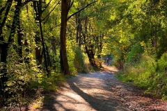 squam-creative-teele-tobins-track-april-sunshine-6