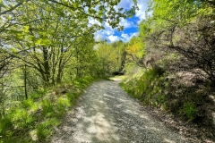 squam-creative-teele-tobins-track-spring-flowering-1