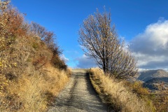 squam-creative-teele-tobins-waning-light-2