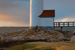Lighthouse & Spring Sunset