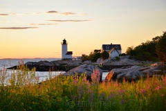 Lighthouse & Flowers