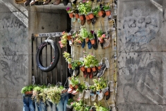 Malasaña Flowers