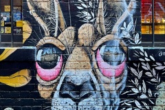 squam-creative-teele-ac-dc-lane-graffiti-august-2023-7