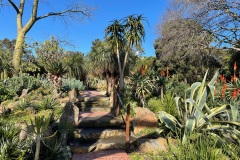squam-creative-teele-cactus-gardens-royal-botanic-gardens-melbourne