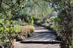 squam-creative-teele-royal-botanic-gardens-arch-melbourne