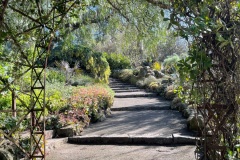 squam-creative-teele-royal-botanic-gardens-arch-melbourne