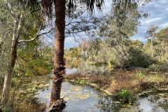 squam-creative-teele-royal-botanic-gardens-melbourne-1