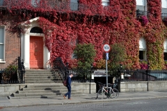 Around St. Stephen's Green