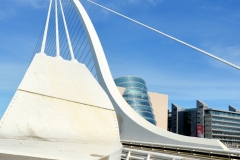 Samuel Beckett Bridge 2