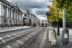 Trams