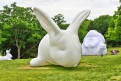 Intrude by Amanda Parer