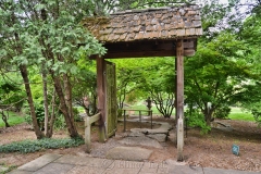 Japanese Garden in Cheekwood