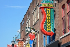 Mellow Mushroom