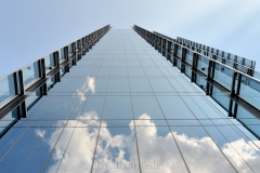 Skyscraper Reflection