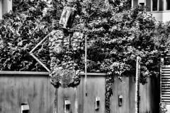 Augarten Hotel