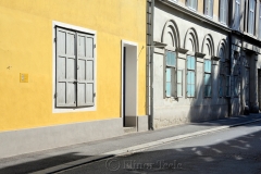 Yellow & Grey