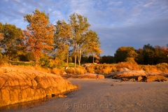 Beach & Fall Foliage in the Pasture
