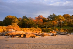 Rocks & Fall Foliage in the Pasture