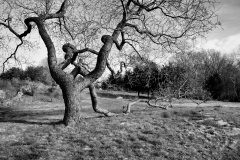 Easter Sunday Lone Tree