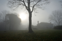 Fog 1