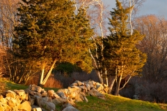 Stone Walls & December Light