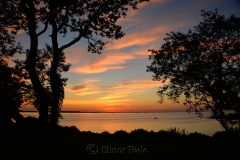 Ipswich Bay & Pasture Trees