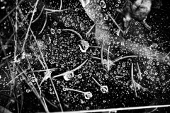 Raindrops on Spider Webs 4