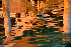 AYC Reflections 1