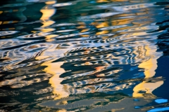 AYC Reflections 9