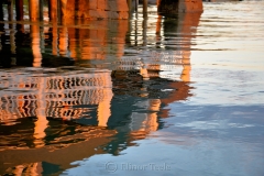 AYC Reflections 11