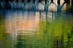 Footbridge Reflections