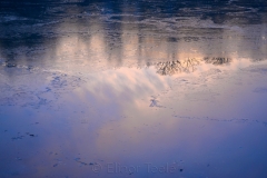 Sunrise & Ice 2