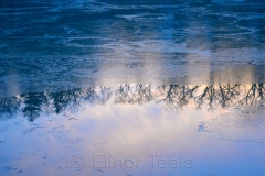 Sunrise & Ice 3