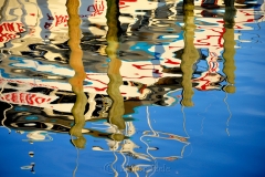 Yankee Freedom Reflections