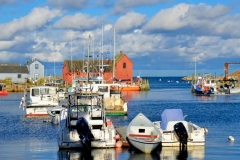 Motif #1 in Autumn 1