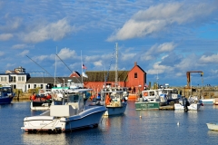 Motif #1 in Autumn 2