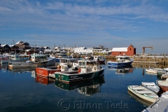 Motif #1 in Snow
