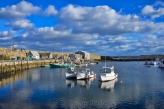 Pigeon Cove 1