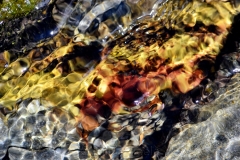 Rocks Underwater 1