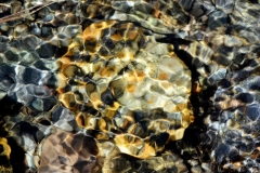 Rocks Underwater 16