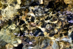 Rocks Underwater 17