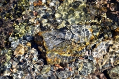 Rocks Underwater 4