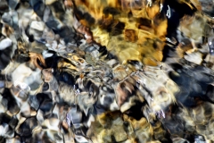 Rocks Underwater 5
